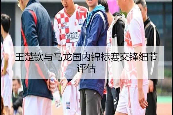 王楚钦与马龙国内锦标赛交锋细节评估（hthsports）